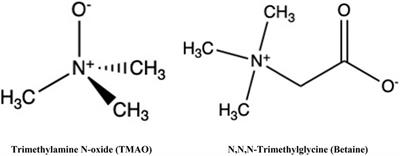 Implications of trimethylamine N-oxide (TMAO) and Betaine in Human Health: Beyond Being Osmoprotective Compounds